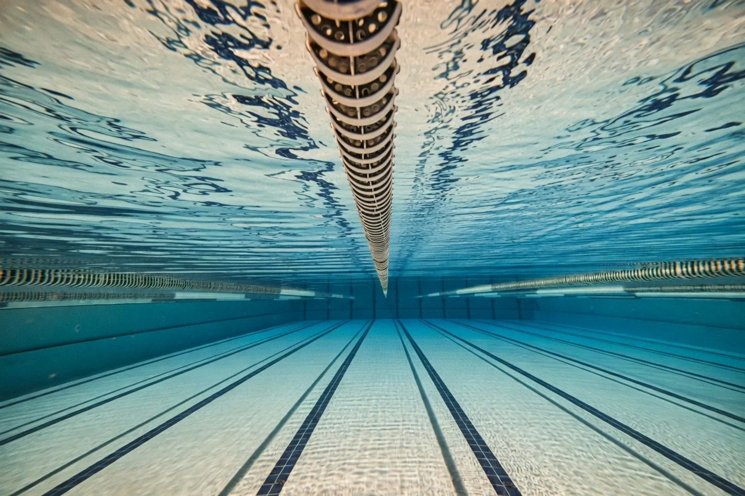 Menace sur les cours de natation : le Penrith Swimming Club se mobilise