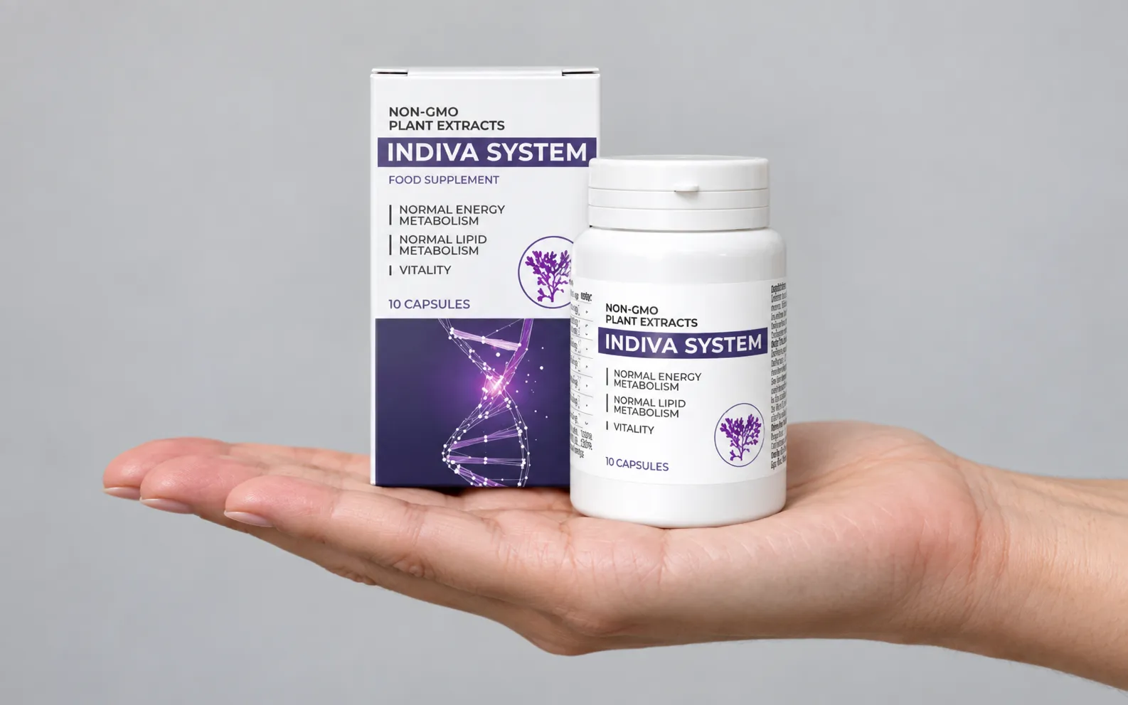 InDiva System — le produit en main
