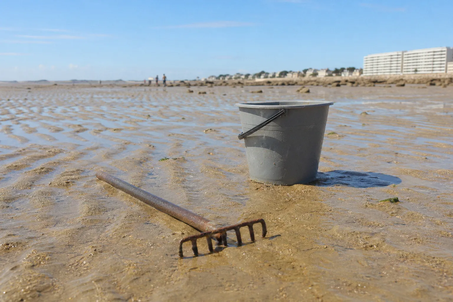 Pêche à pied à Pornichet : mes erreurs de débutant