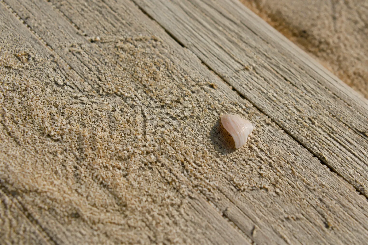 Sable de la baie de La Baule : pourquoi est-il si fin ?