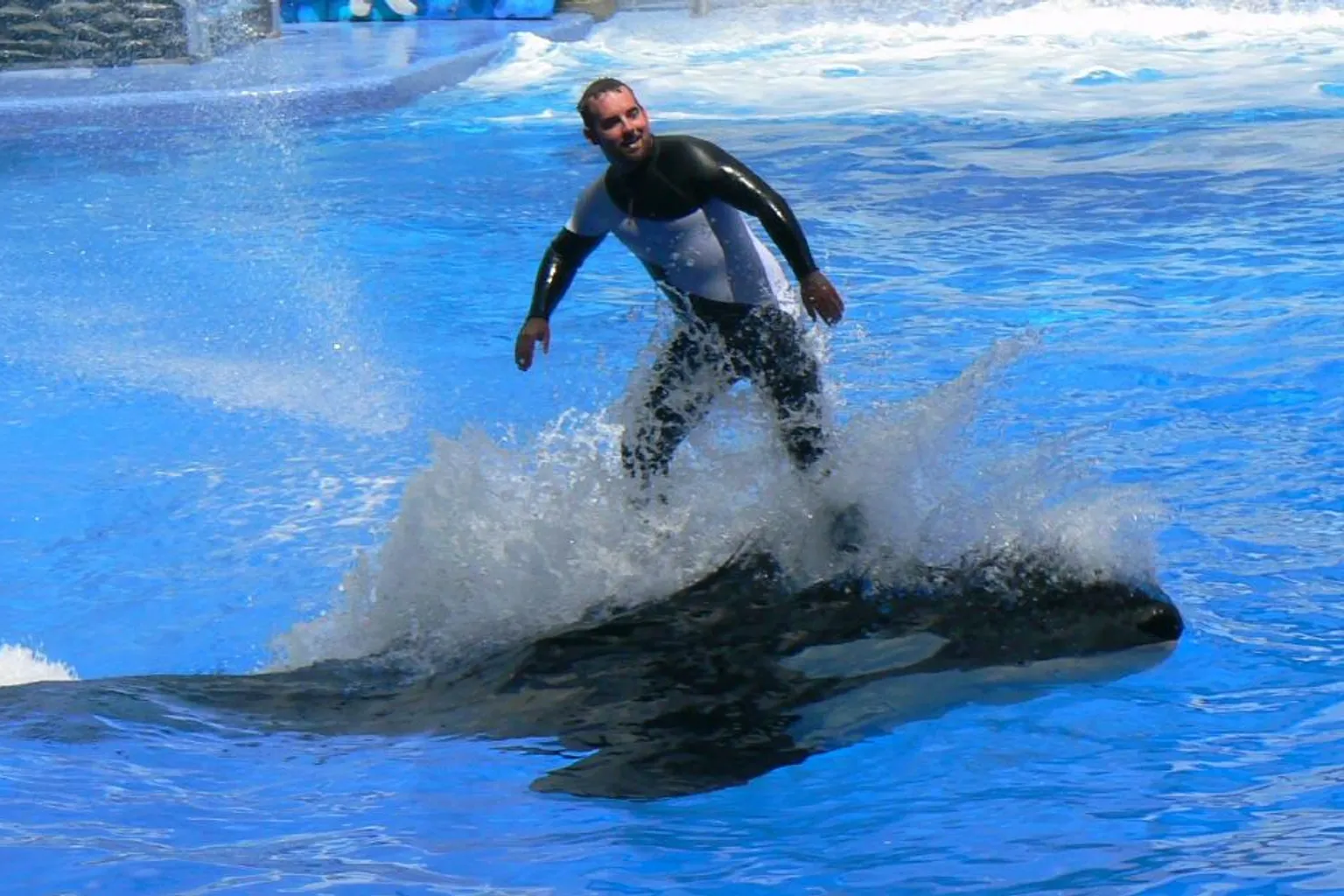 Billets pour SeaWorld Orlando : le choix de Julien