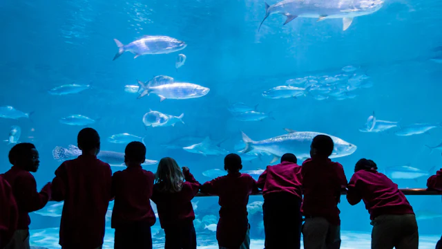 Aquarium Audubon