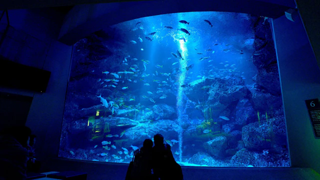 Aquarium de Sumida