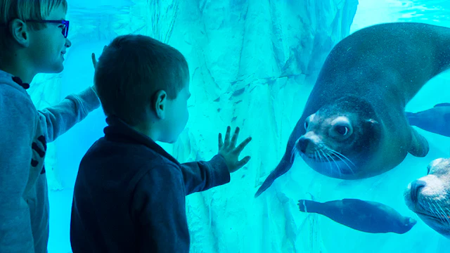 Aquarium Gardaland SEA LIFE