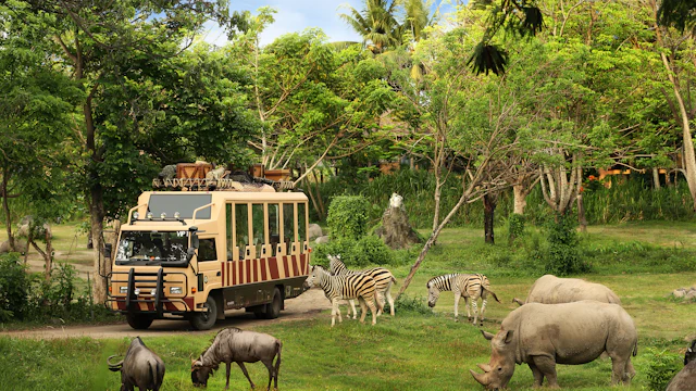 Bali Safari & Marine Park
