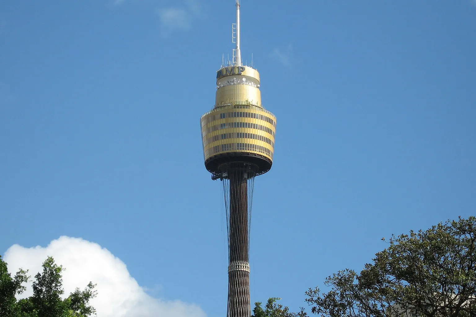 Tour de Sydney : tarifs d'une ascension vertigineuse
